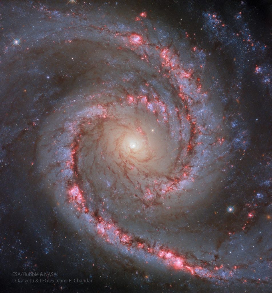 NGC 1566 : la galaxie de la Danseuse espagnole