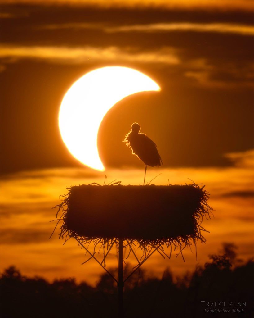 L’éclipse et la cigogne